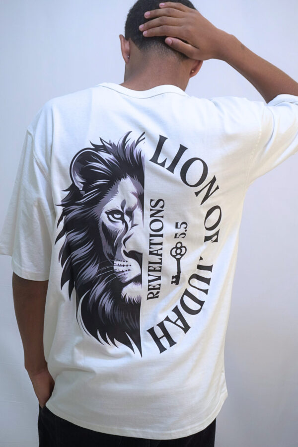 CAMISETA OVERSIZE #2
